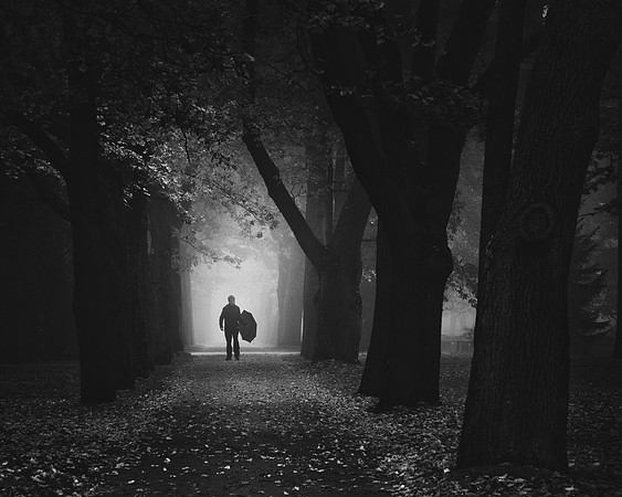 Walk from the Light