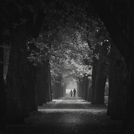 Walk into the Light