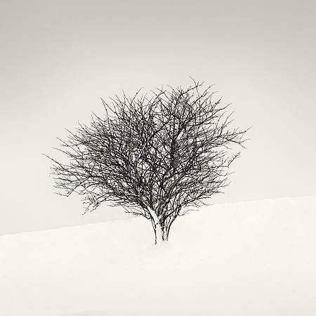 Simple Complexity
