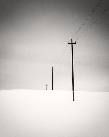 Telephone Line, Study VIII