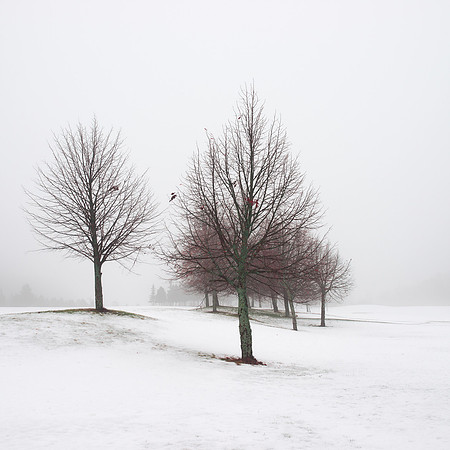 Winter Poem II