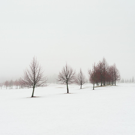 Winter Poem V