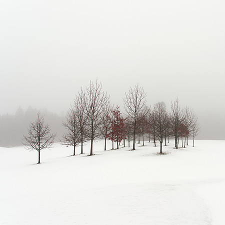 Winter Poem VI