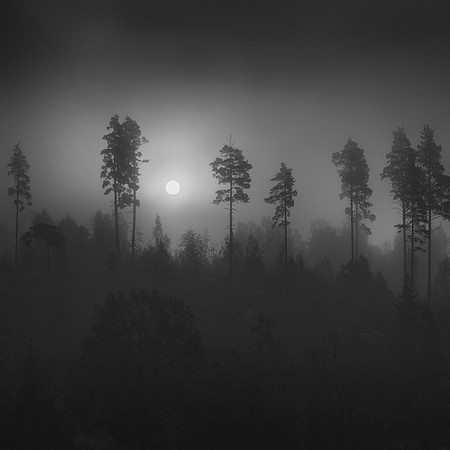 Black Sunrise