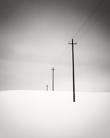 Telephone Line, Study VIII