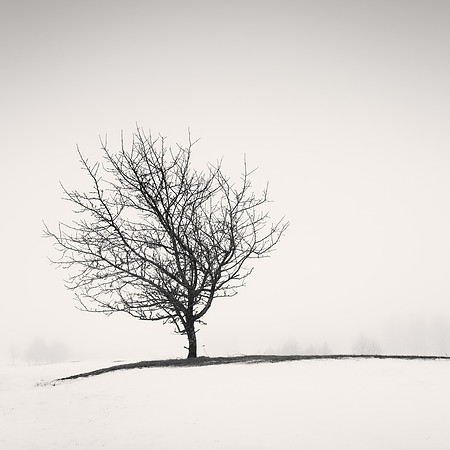 Winter Haiku