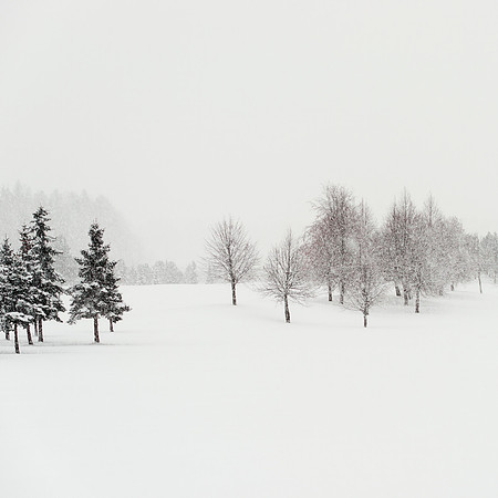 Blizzard