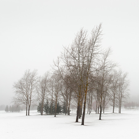 Winter Poem III