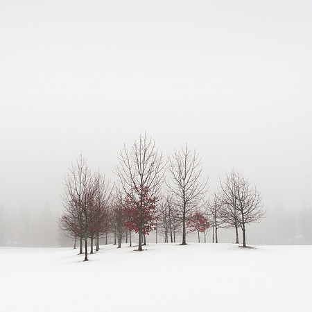 Winter Poem IV