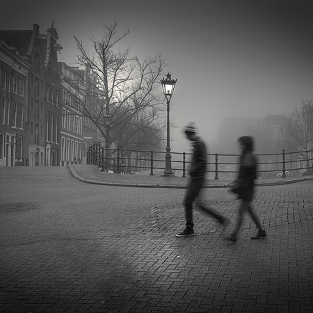 Morning Walk II
