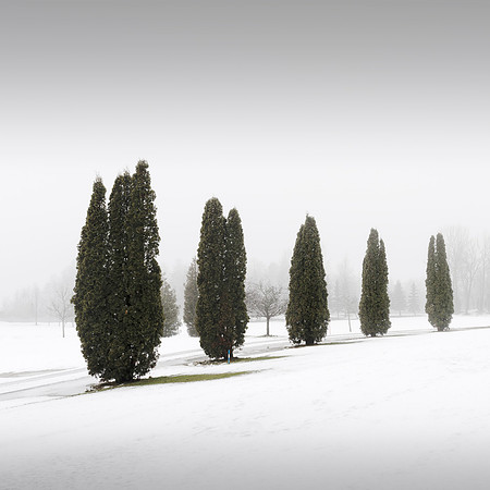 Five Totems
