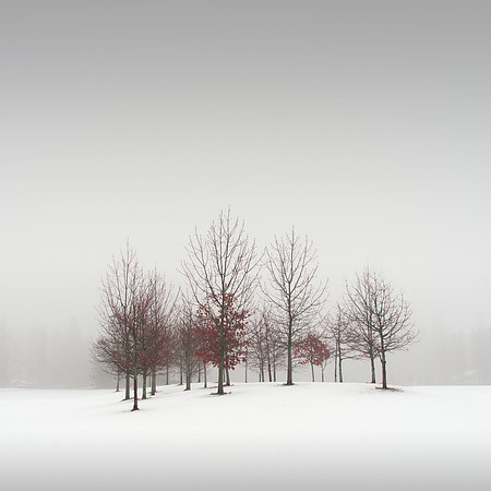 Winter Poem IV