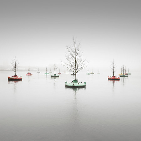 Floating Woods