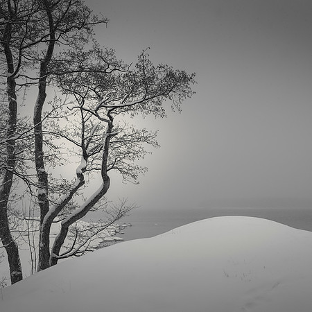 Grey Day II