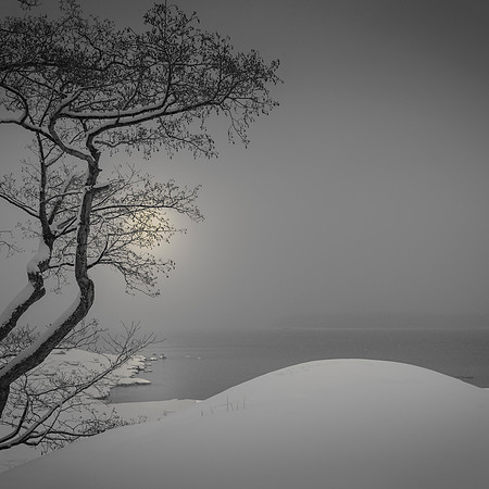 Grey Day