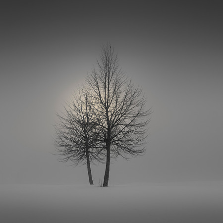 Deep in the Fog