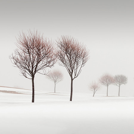 Winter Poetry
