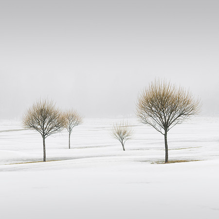 Winter Poetry II