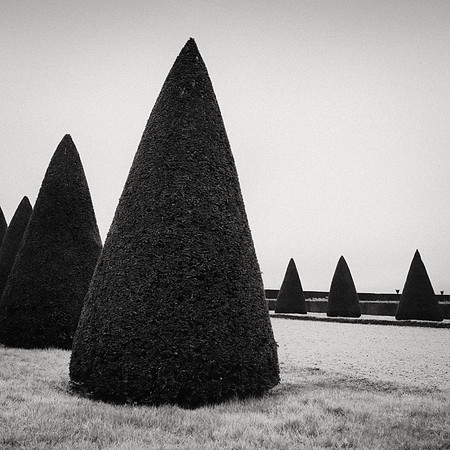 Conical Order