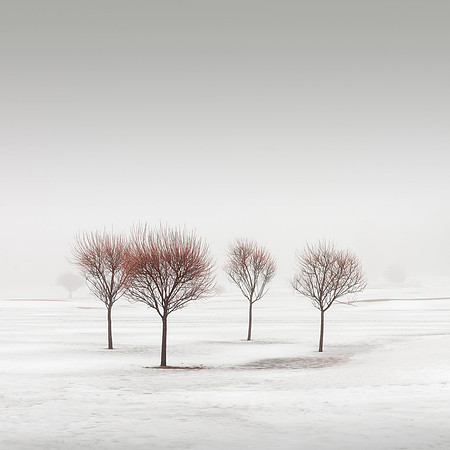 Winter Poetry IV