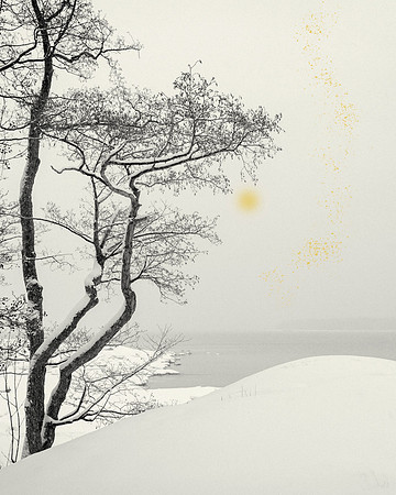 Golden Rain #10a