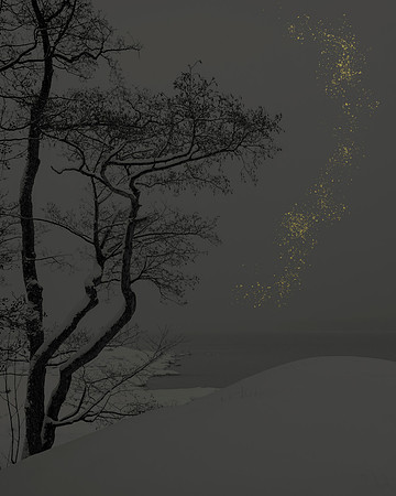Golden Rain #10b