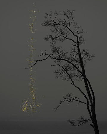 Golden Rain #01a