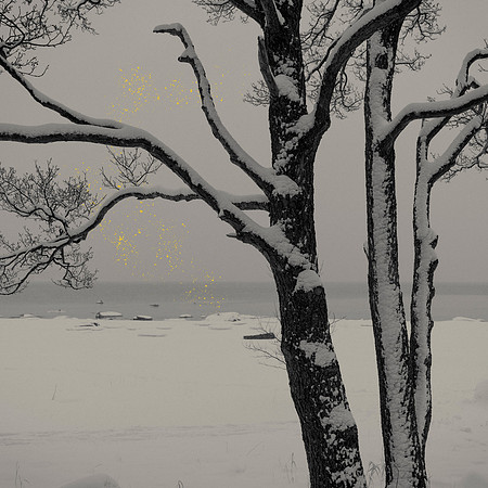 Golden Rain #02