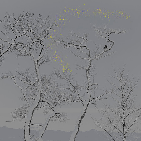 Golden Rain #03a