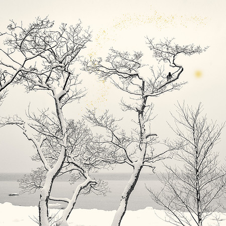 Golden Rain #03b