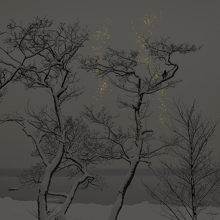 Golden Rain #03c