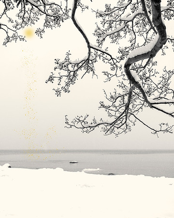 Golden Rain #04