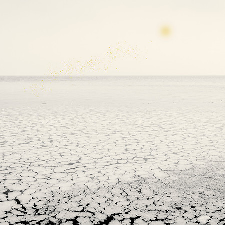 Golden Rain #05