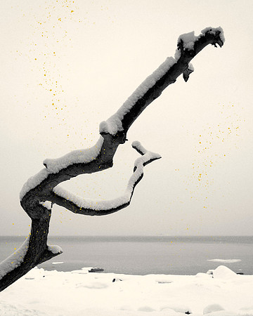 Golden Rain #07