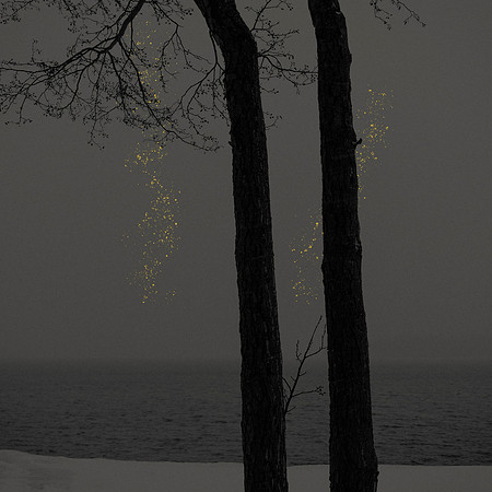 Golden Rain 08a