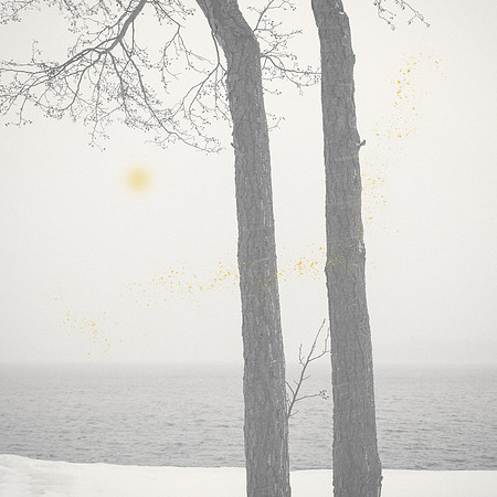 Golden Rain 08b
