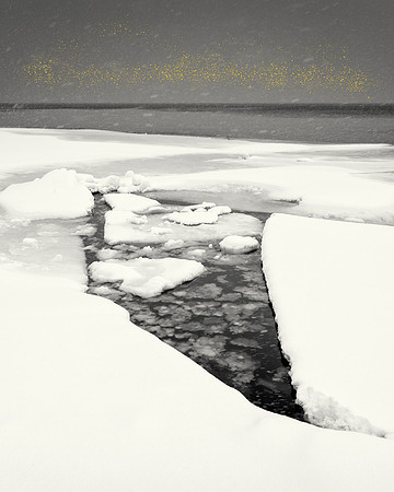 Golden Rain 09