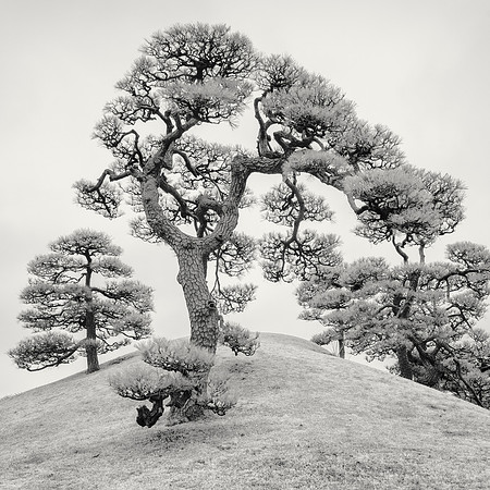 Hinokuchiyama Hill II