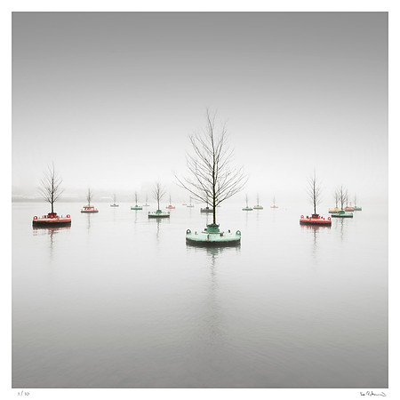 Floating Woods
