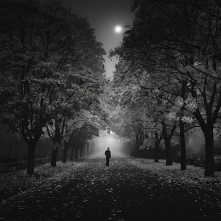 Autumn Avenue