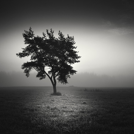 In the Flat Field