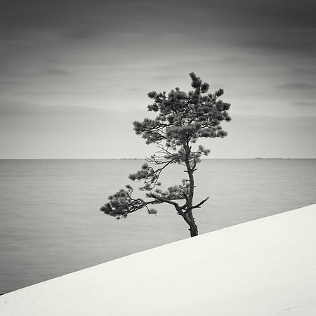 Standing on the Seashore